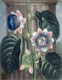 1952.29