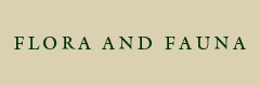 Flora and Fauna