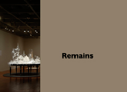 remainsFr.jpg
